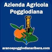 Arance Poggiodiana Ribera Arance di Ribera (Sicilia)