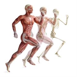 Fisioterapia e Osteopatia Andrea Dall’Osto