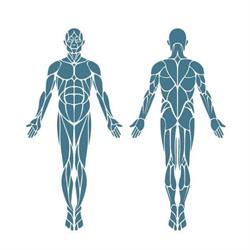 Cologna Fisioterapia