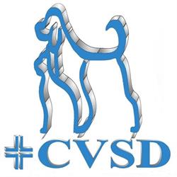 Ambulatorio Centro Veterinario San Domenico