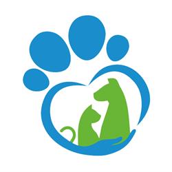 Ambulatorio Veterinario Maggiore