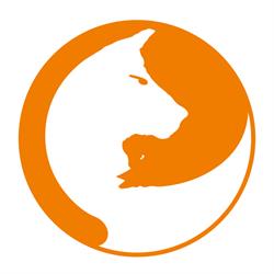 ambulatorio veterinario pian di mugnone