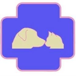 Ambulatorio Veterinario 4 Zampe