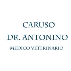 Caruso Dr. Antonino - Medico Veterinario