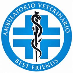 Ambulatorio Veterinario Best Friends