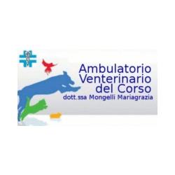 Ambulatorio Veterinario del Corso