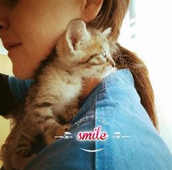 Studio Veterinario Alessia Oggiano