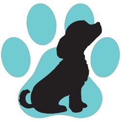 Ambulatorio Veterinario Dr. Cristina Sandoli