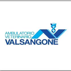 Ambulatorio Veterinario Associato Val Sangone