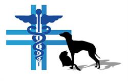 Ambulatorio Veterinario dott.ssa Roberta Vigliocco