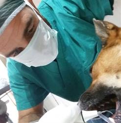 Ambulatorio Veterinario "CITTA' DI MELENDUGNO" dr Stella