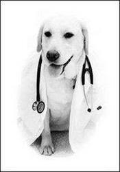 Ambulatorio Veterinario Dott.ssa Silvia Gaio