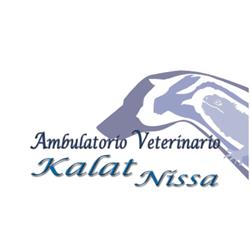 Veterinario Dr. Stefania Turco Ambulatorio Kalat Nissa