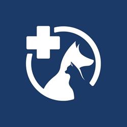 Animal Hospital - Clinica Veterinaria