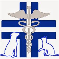 Ambulatorio Veterinario Lattero
