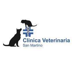 San Martino - Castelletto Ticino - Clinica Veterinaria