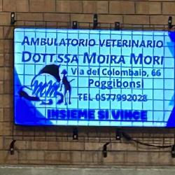 Ambulatorio Veterinario Dr.ssa Mori Moira