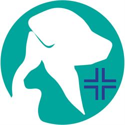 Ambulatorio Veterinario Associato Sanchi Fabrizia & Bravin Michele