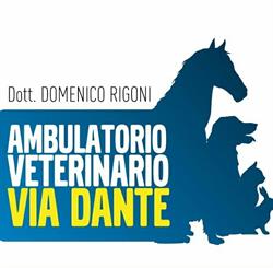Ambulatorio Veterinario Via Dante