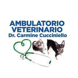 Ambulatorio Veterinario Dr. Carmine Cucciniello della dr.ssa Fausta Cucciniello