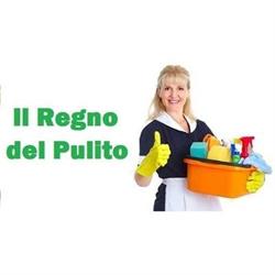 Il Regno del Pulito