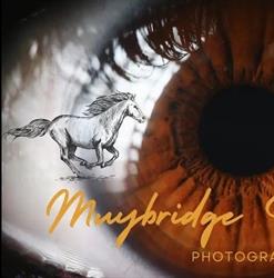 Muybridge Studio Labs