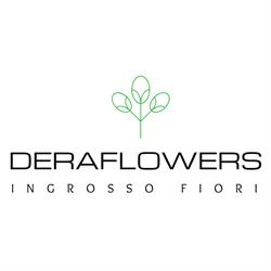 Deraflowers di Deramo Nicola