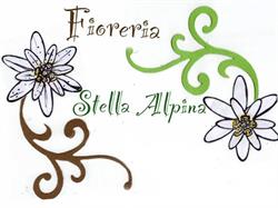 Stella Alpina Di Bassan Giada