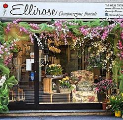 Ellirose di Elena Bisestri composizioni floreali
