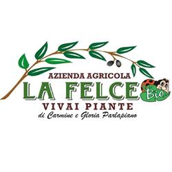 La Felce Vivaio, Az. Agr. BIO