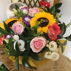 Fiori e piante di Luisella Concas