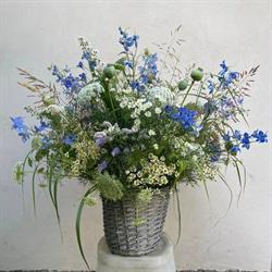 Hortus Contemporaneo