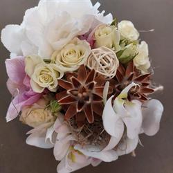 Fiori & Design