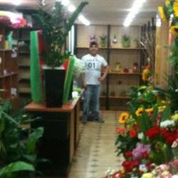 Fiori e Piante da Filippo