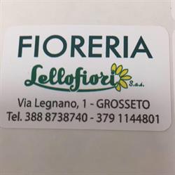 Fioreria Lellofiori