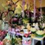 Fiori - Il Tulipano