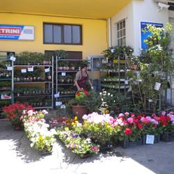 il Mulino La Natura E Le Sue Origini