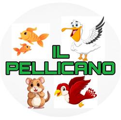 Il Pellicano