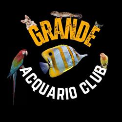 Grande Acquario Club