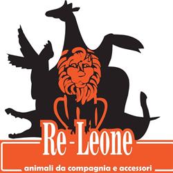 Il Re Leone