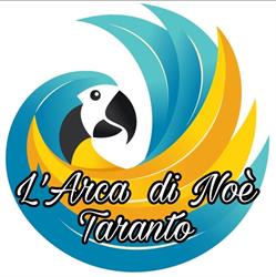 L'arca di Noè di Marilli Angelo