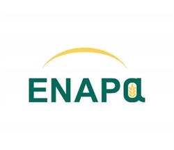 Patronato ENAPA