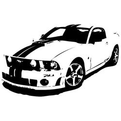 Buico Motorsport