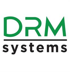 DRM Systems di Della Regina Manuel