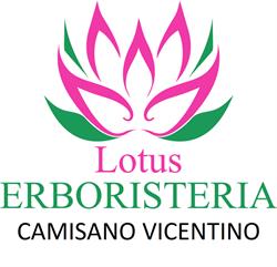 Lotus Erboristeria