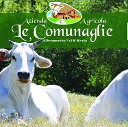Azienda Agricola Le Comunaglie s.s. Società Agricola - Allevamento Chianina