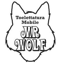 Toelettatura Cani Mobile Mr Wolf
