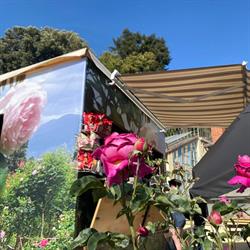 Giardino delle Rose