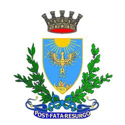 Comune di Suzzara