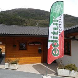 Editur Promotion